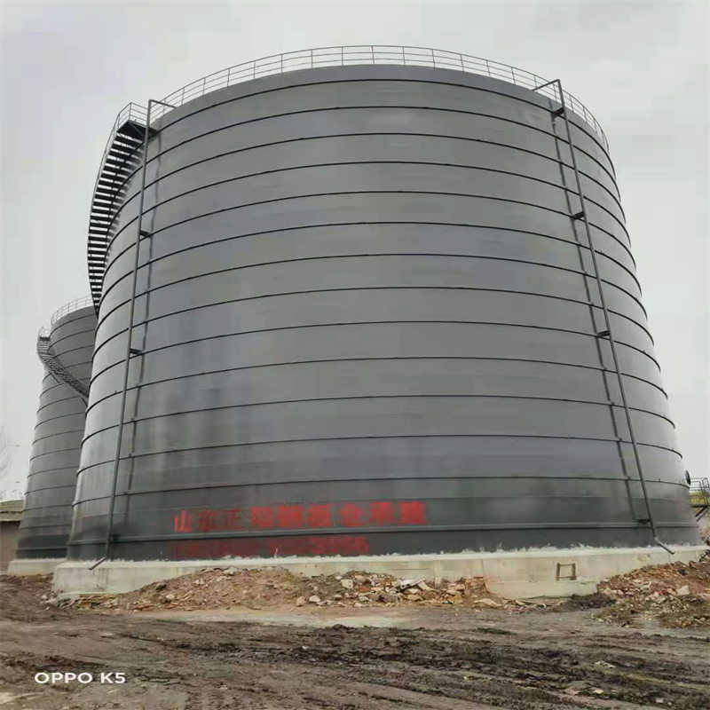 中沙3万吨大型钢板库