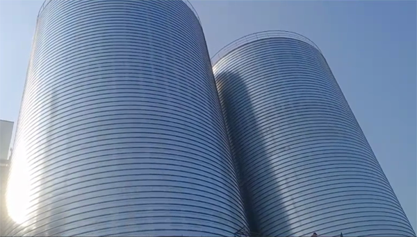 中沙2座混凝土高架卷板仓